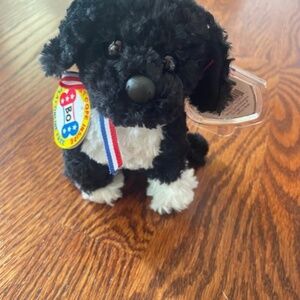 TY 2.0 Beanie Baby BO Portuguese Water Dog 6" OBAMA First Dog NWT Online Code